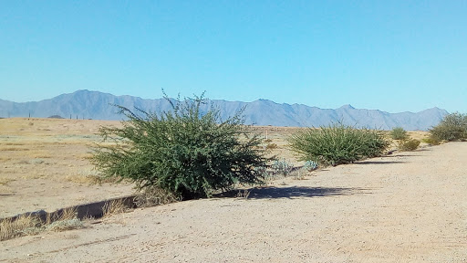 Community Center «Pecos Community Center», reviews and photos, 17010 S 48th St, Phoenix, AZ 85048, USA