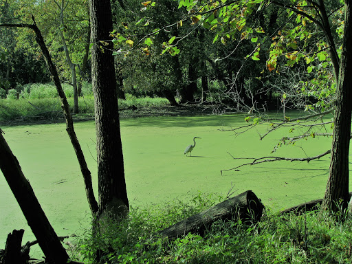 Nature Preserve «River Trail Nature Center», reviews and photos, 3120 Milwaukee Ave, Northbrook, IL 60062, USA