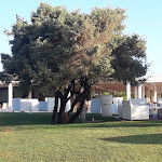 Photo n°3 de l'avis de Angy.e fait le 10/09/2018 à 07:12 sur le  Ristorante I Ginepri à Villasimius