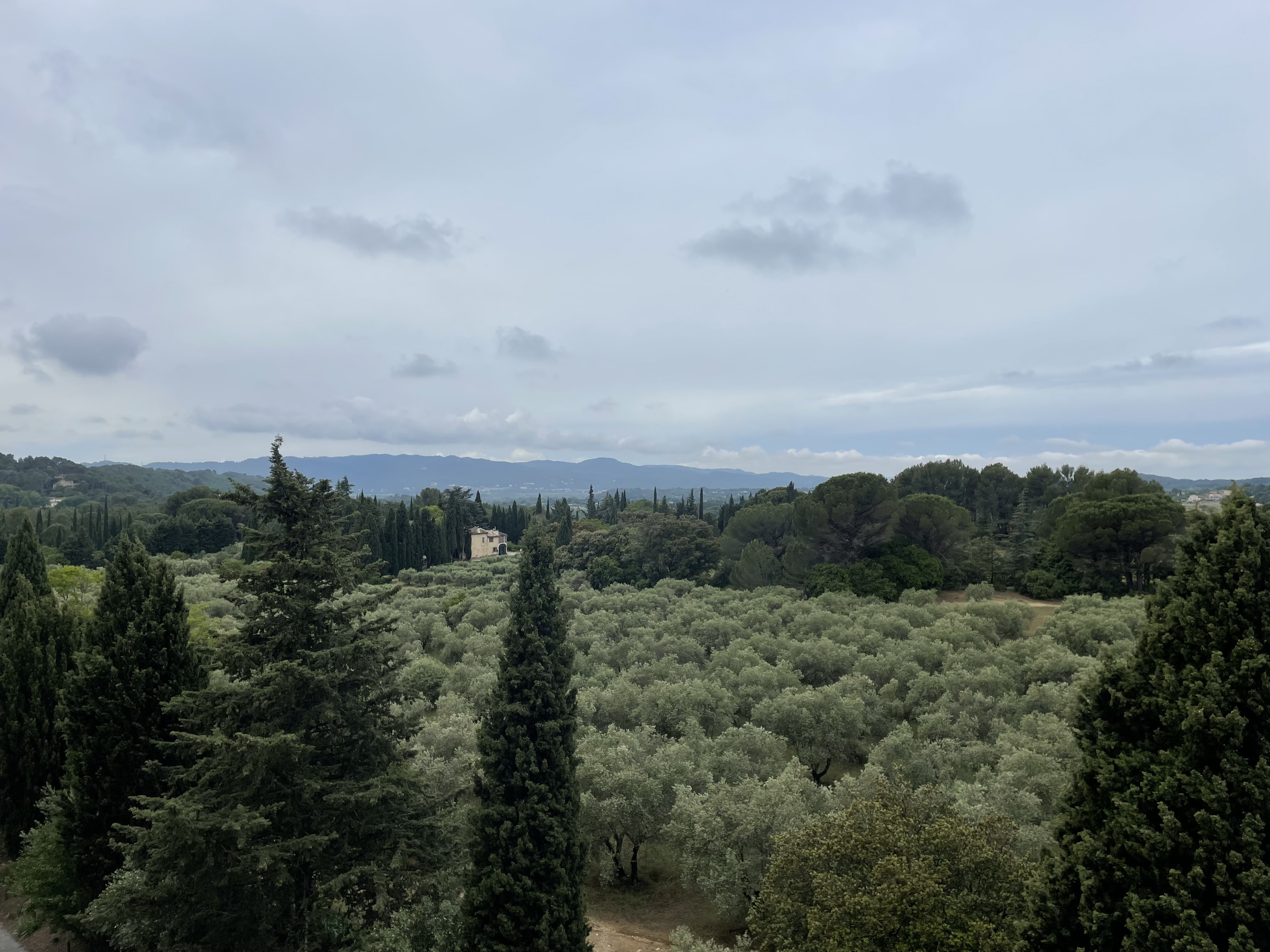 Photo n° 3 de l'avis de belair.5 fait le 19/05/2023 à 19:57