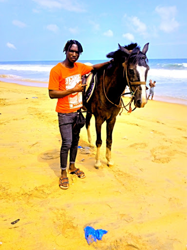 Used Car Dealer «Action Auto Sales and Finance», reviews and photos, 170 W State Rd, Lehi, UT 84043, USA