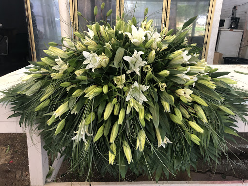 Florist «Rosewood Flower Shop», reviews and photos, 4821 Fannin St, Houston, TX 77004, USA