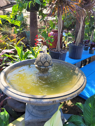 Wholesale Plant Nursery «Galloway Farm Nursery Inc.», reviews and photos, 7790 SW 87th Ave, Miami, FL 33173, USA