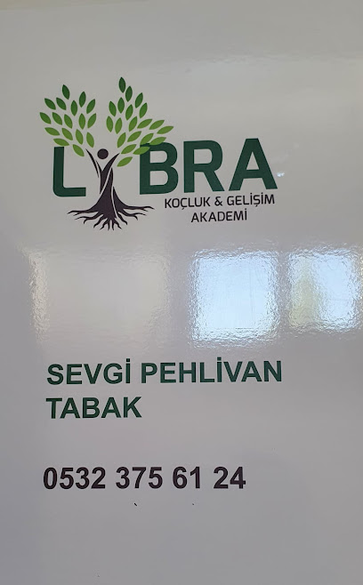 LİBRA KOÇLUK GELİŞİM AKADEMİ-Ankara Hızlı Okuma Kursu-Kurumsal Eğitim-Access Bars Eğitimi