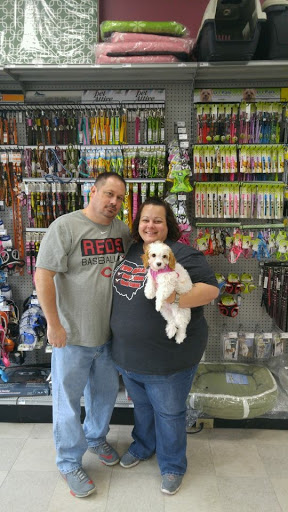 Pet Store «Petland», reviews and photos, 1514 Stonecreek Dr, Pickerington, OH 43147, USA