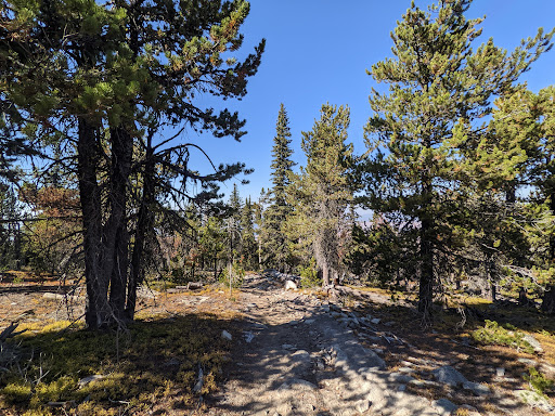 Bonaparte Mountain Trailhead
