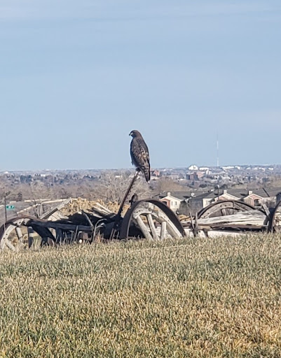 Golf Course «The Homestead Golf Course», reviews and photos, 11500 W Hampden Ave, Lakewood, CO 80227, USA