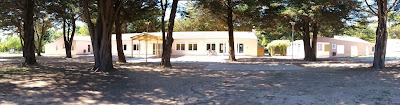 Les Courlis à Notre-Dame-de-Monts