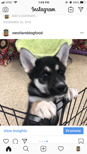 Pet Supply Store «Westland Dog Food Co Inc», reviews and photos, 37687 Ford Rd, Westland, MI 48185, USA