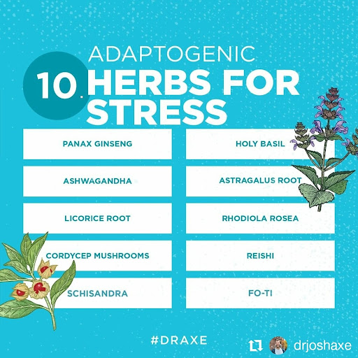 Health Food Store «Peach Blossom», reviews and photos, 1304 Chestnut St # F, Murray, KY 42071, USA