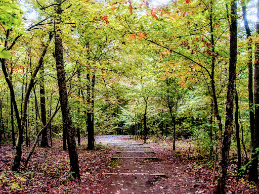 Community Center «Mulberry Creek Park & Community Center», reviews and photos, 4491 J M Turk Rd, Flowery Branch, GA 30542, USA