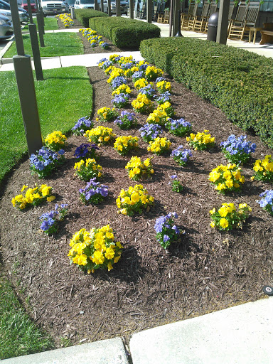 American Restaurant «Cracker Barrel Old Country Store», reviews and photos, 725 Foxcroft Ave, Martinsburg, WV 25401, USA