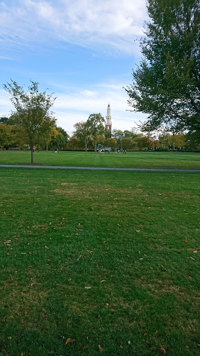 Art Gallery «Addison Gallery of American Art», reviews and photos, 180 Main St, Andover, MA 01810, USA