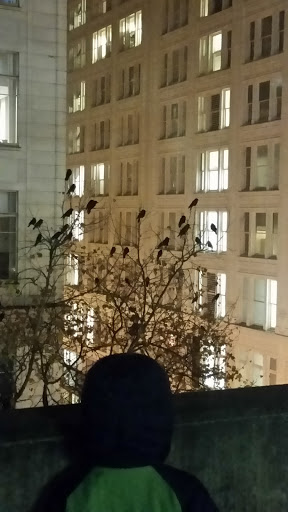 Department Store «T.J. Maxx», reviews and photos, 604 SW Washington St, Portland, OR 97204, USA