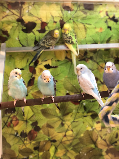 Pet Supply Store «PetSmart», reviews and photos, 1515 US-22, Watchung, NJ 07069, USA