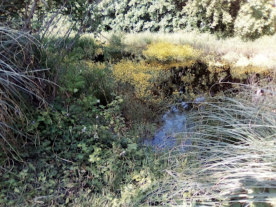 Adapei les Papillons Blancs à Saint-Georges-du-Bois