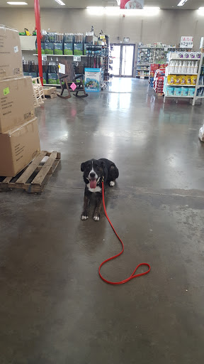 Department Store «Rural King», reviews and photos, 1800 IN-44, Shelbyville, IN 46176, USA