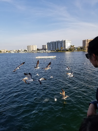 Sightseeing Tour Agency «Southern Star Dolphin Cruises», reviews and photos, 100 Harbor Blvd, Destin, FL 32541, USA