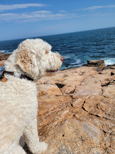 Park «Rafes Chasm Park», reviews and photos, 138 Hesperus Ave, Gloucester, MA 01930, USA