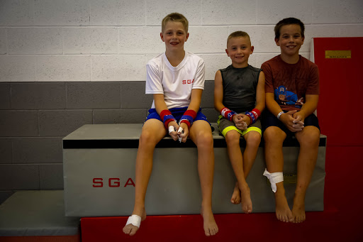 Gymnastics Center «Sterling Gymnastics Academy», reviews and photos, 5535 Gatewood Dr, Sterling Heights, MI 48310, USA