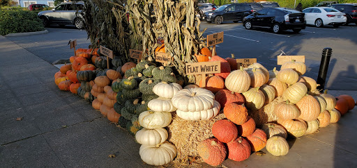 Gourmet Grocery Store «Metropolitan Market Magnolia», reviews and photos, 3830 34th Ave W, Seattle, WA 98199, USA