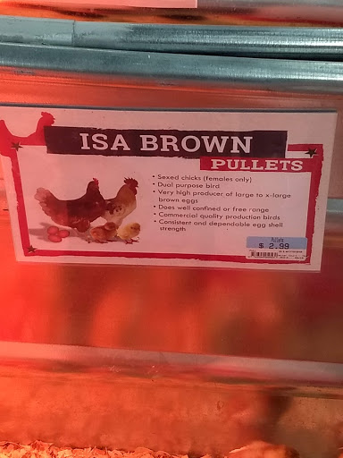 Home Improvement Store «Tractor Supply Co.», reviews and photos, 150 New London Rd, Colchester, CT 06415, USA