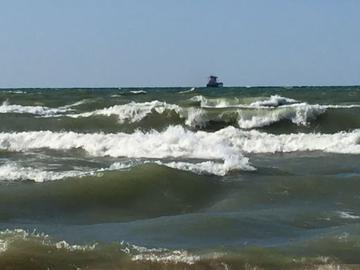 Hiking Area «Cowles Bog Trail», reviews and photos, 1618 N Mineral Springs Rd, Dune Acres, IN 46304, USA