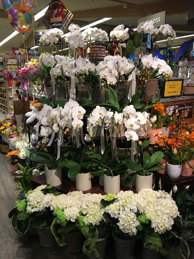 Vons image