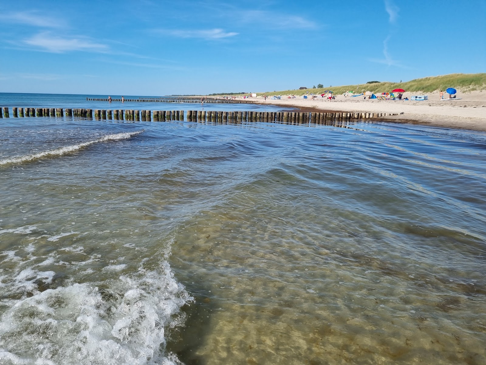 Dierhagen Ost Beach'in fotoğrafı vahşi alan