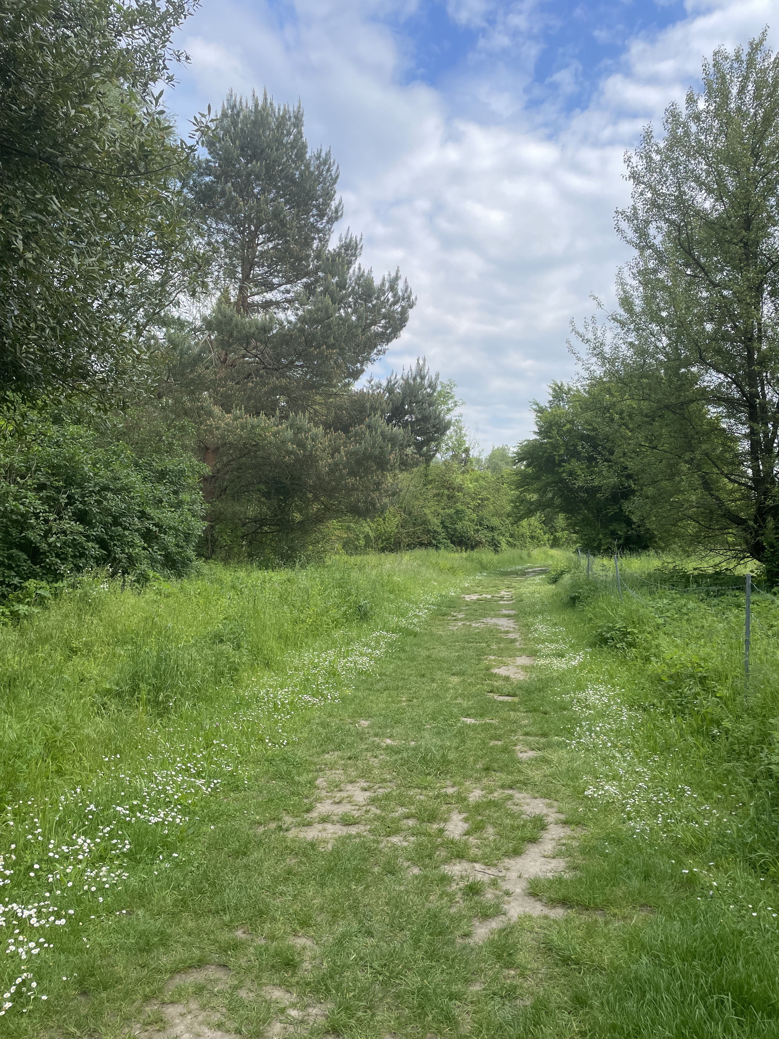 Photo n° 2 de l'avis de S. fait le 22/05/2023 à 19:42