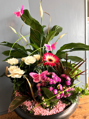 Reviews of Passionis Flowers - Event and Occasion Florist in Bournemouth - Florist