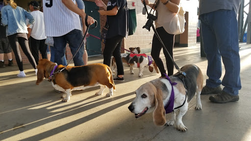 Stadium «Coors Field», reviews and photos, 2001 Blake St, Denver, CO 80205, USA