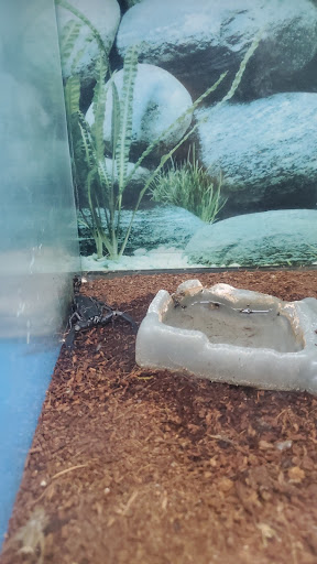 Pet Store «Cody PET DEPOT», reviews and photos, 556 Yellowstone Ave, Cody, WY 82414, USA