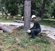 user