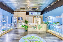 Natural Life CBD Kratom Kava - Photo 3 - Car repair in Tallahassee, FL, Tallahassee