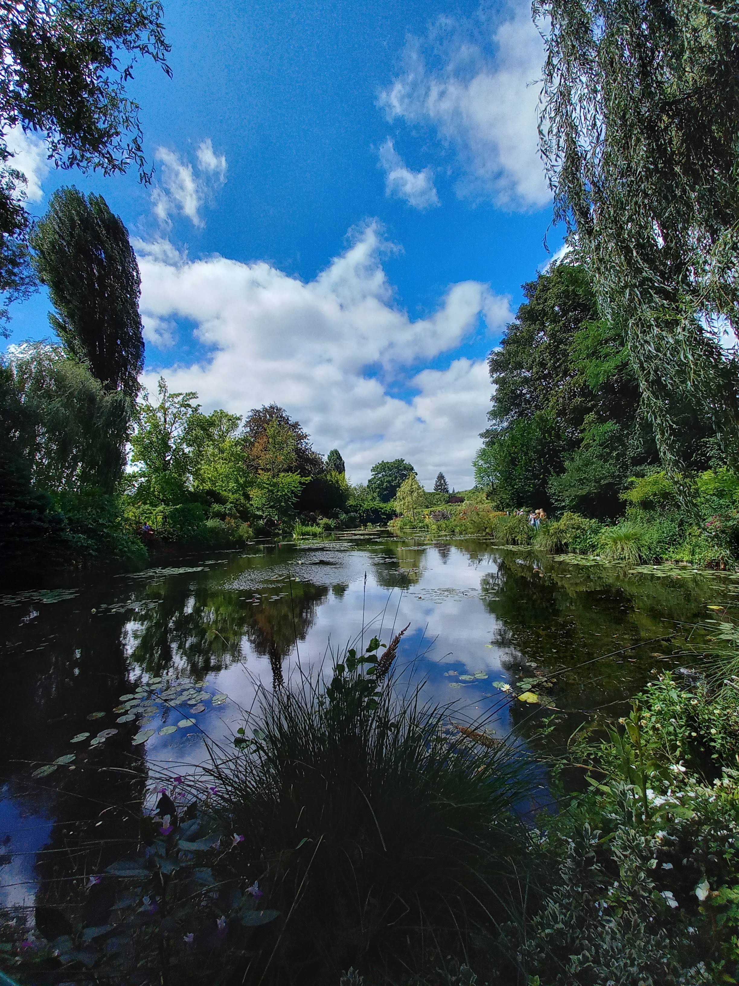 Photo n° 3 de l'avis de Anne.c fait le 31/07/2022 à 18:54