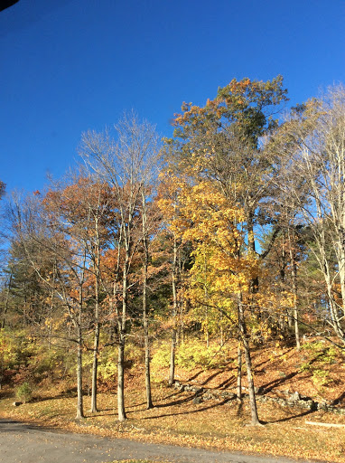 Episcopal Church «Holy Cross Monastery», reviews and photos, 1615 US-9W, Hyde Park, NY 12538, USA