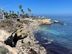 Photo de La Jolla Cove avec un niveau de propreté de très propre