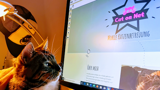 Cat on Net - Mobile Katzenbetreuung