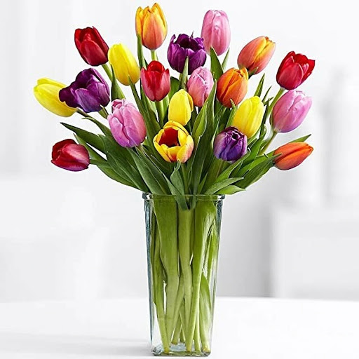 Florist «Agnew Florist-Watertown», reviews and photos, 587 Main St, Watertown, CT 06795, USA