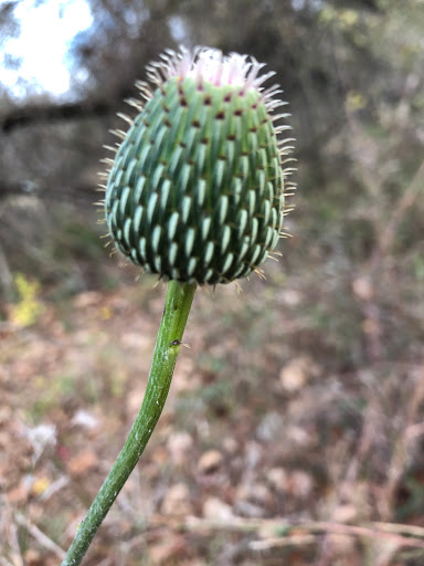 Park «Trophy Club Park», reviews and photos, 2885 Trophy Park Dr, Trophy Club, TX 76262, USA