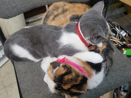 Leos Computer Store, 3032 W Cermak Rd, Chicago, IL 60623, USA, 