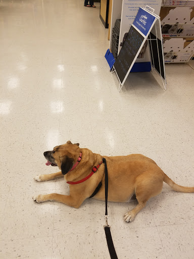 Pet Supply Store «PetSmart», reviews and photos, 625 Baltimore Blvd, Westminster, MD 21157, USA