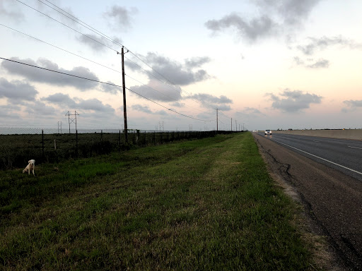 Animal Shelter «SPCA of Brazoria County», reviews and photos