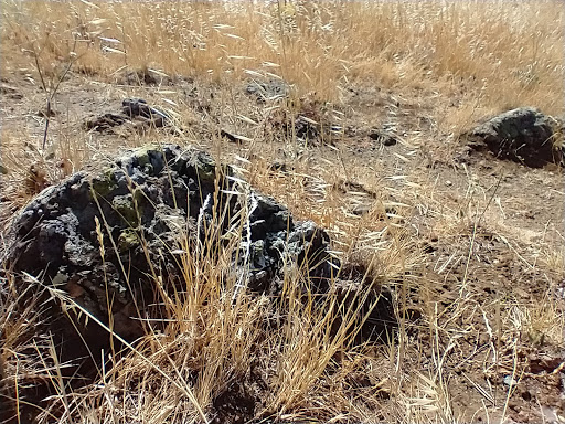 Blue Rock Springs Park image