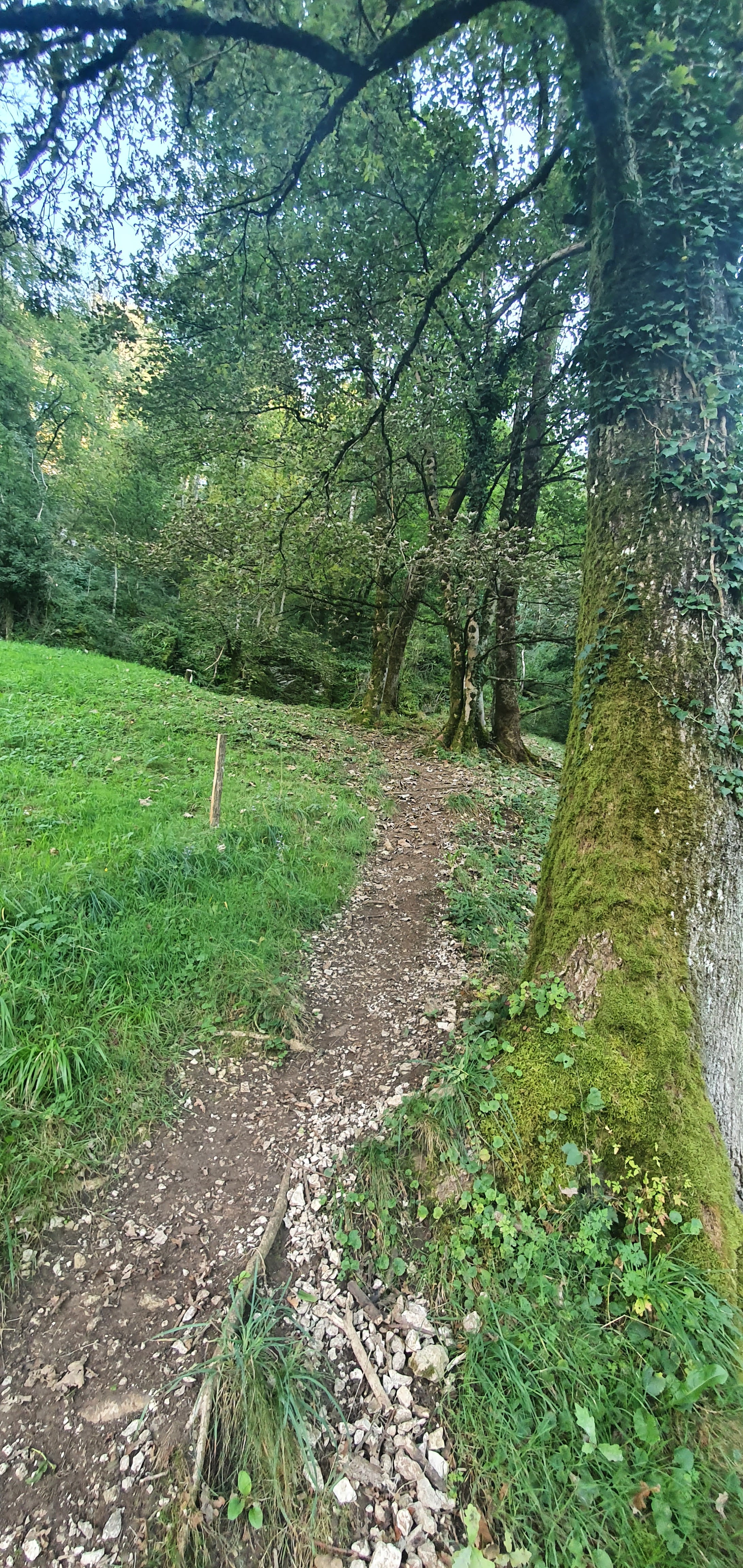 Photo n° 4 de l'avis de Amoarii.P fait le 18/09/2021 à 05:31
