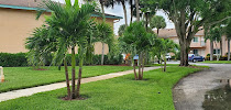 L&E Landscaping Inc - Photo 5 - Car repair in West Palm Beach, FL, West Palm Beach