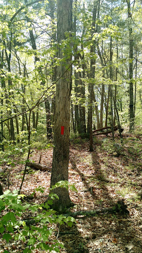 Park «NARA Park», reviews and photos, 25 Ledge Rock Way, Acton, MA 01720, USA