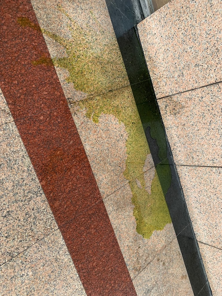 天仁茗茶 大葉高島屋店 的照片