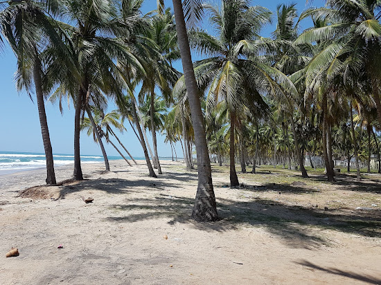 Thirukkovil beach
